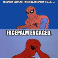 Spiderman FacePalm